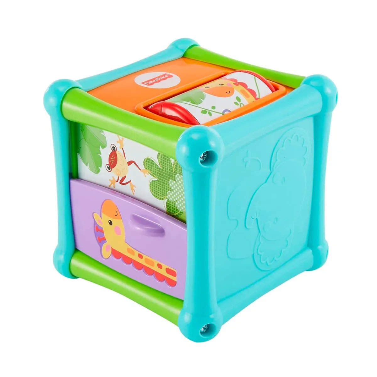 Animal Activity Cube