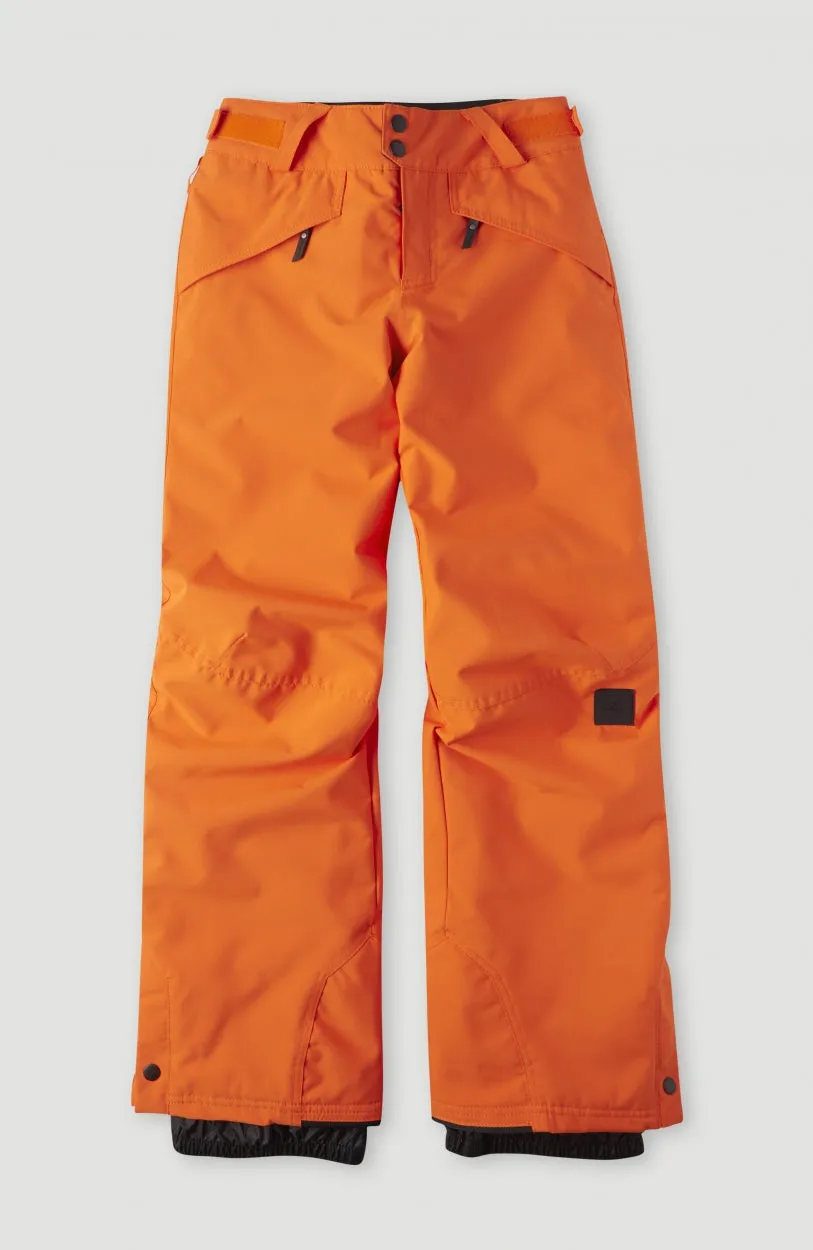 O'neill Anvil Pants Puffin Bill