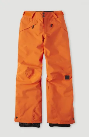 O'neill Anvil Pants Puffin Bill